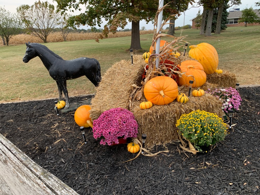 Fall = NaNoWriMo Blog post by Rebecca Reed on rebeccareedwrites.com
Fall decorations