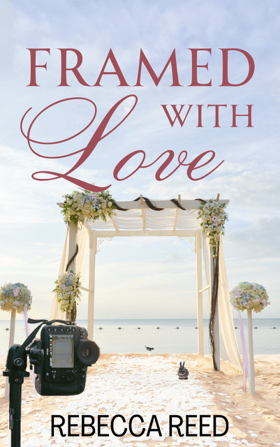 wedding canopy, and camera with rabbit on a beach under blue sky