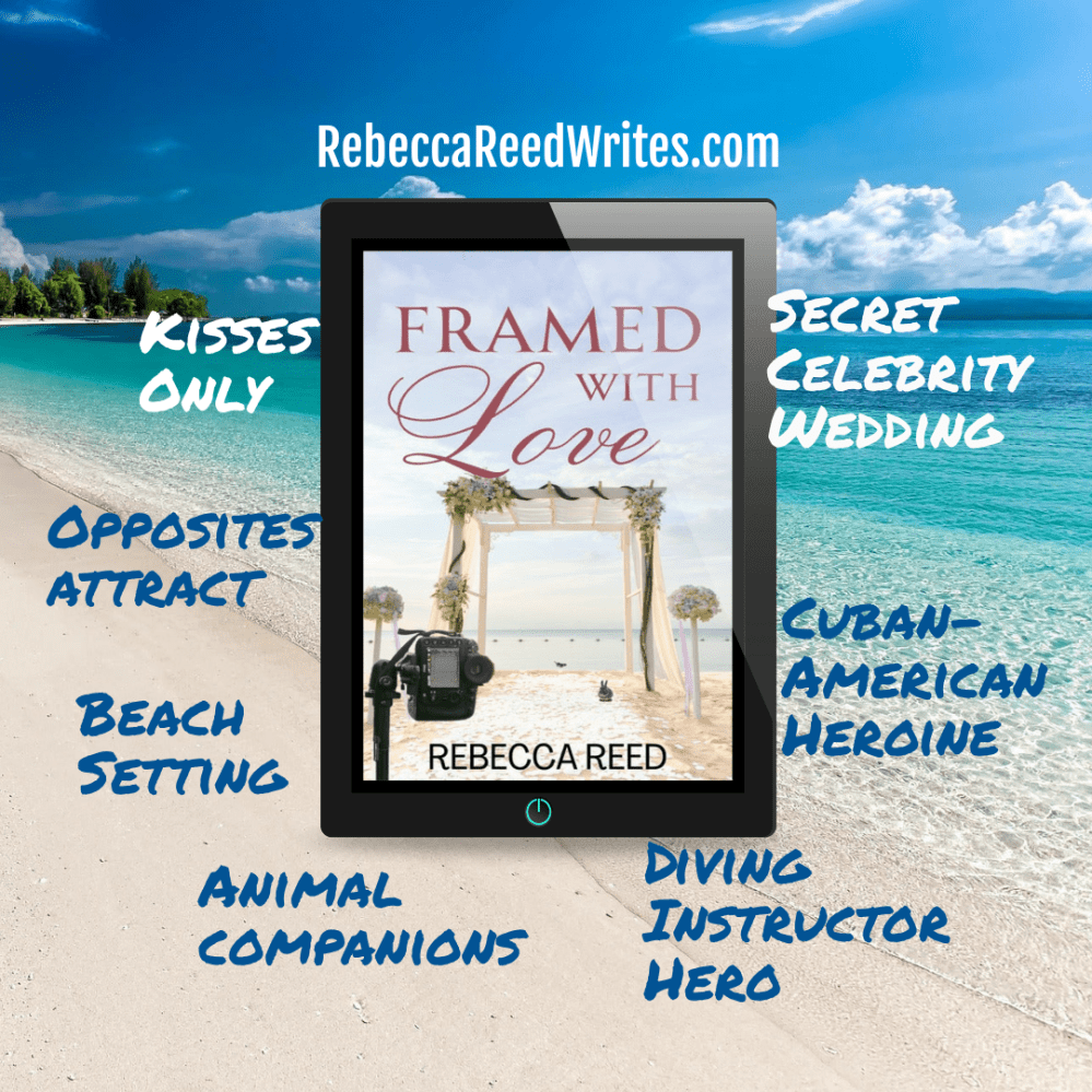 book cover with tropes and a beach background